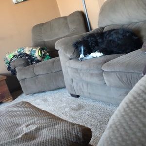 Meet your Posher, Paula